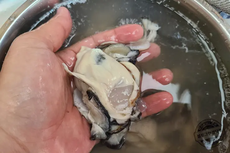 생애최초 어리굴젓 만들기