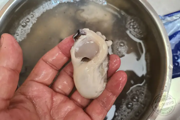 생애최초 어리굴젓 만들기