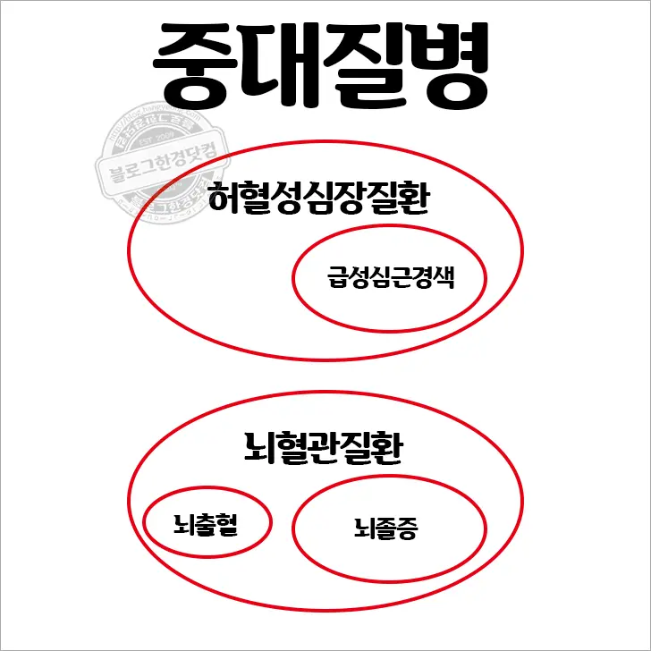 손해보험가입 유의사항 (설계사배신 눈탱이예방)