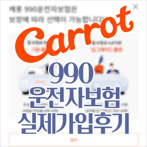 월990원 운전자보험 캐롯손해보험 가입후기