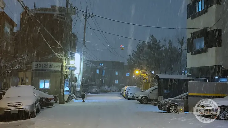 눈 길 운전 주의사항, 눈길 사고 없이 안전운전 위한 필독 글