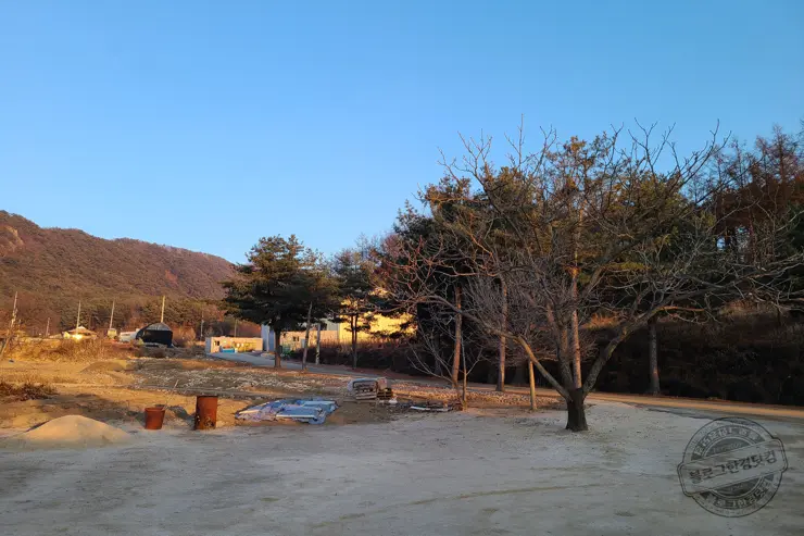 내대막국수 강원도 철원 메밀막국수 맛집 (20191129 맛있는녀석들 249회 방영)