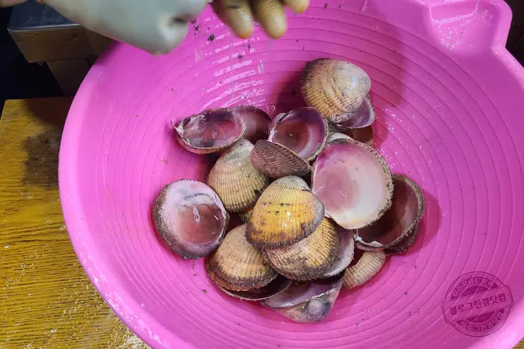 충남 홍성 남당항 새조개 겨울철 별미 제철음식 (ft. 동백회수산 )