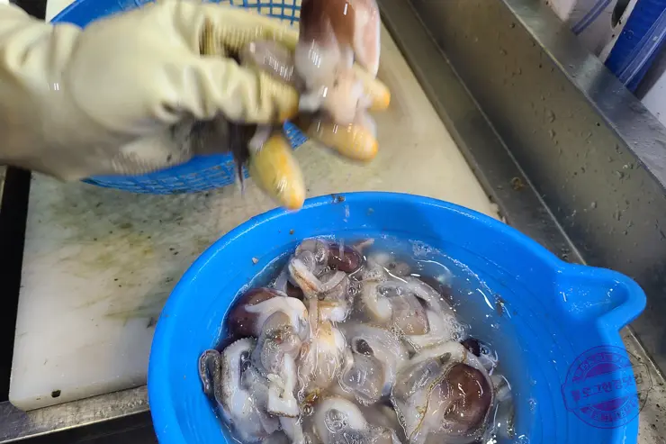 충남 홍성 남당항 새조개 겨울철 별미 제철음식 (ft. 동백회수산 )