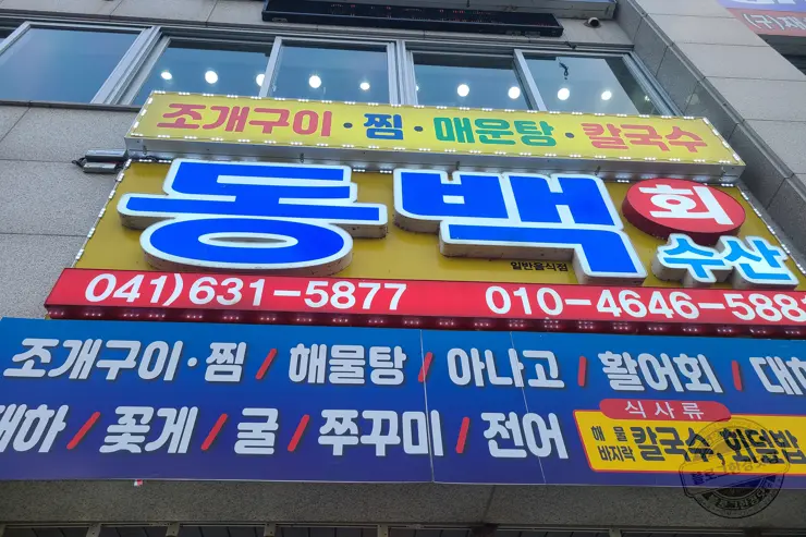 충남 홍성 남당항 새조개 겨울철 별미 제철음식 (ft. 동백회수산 )