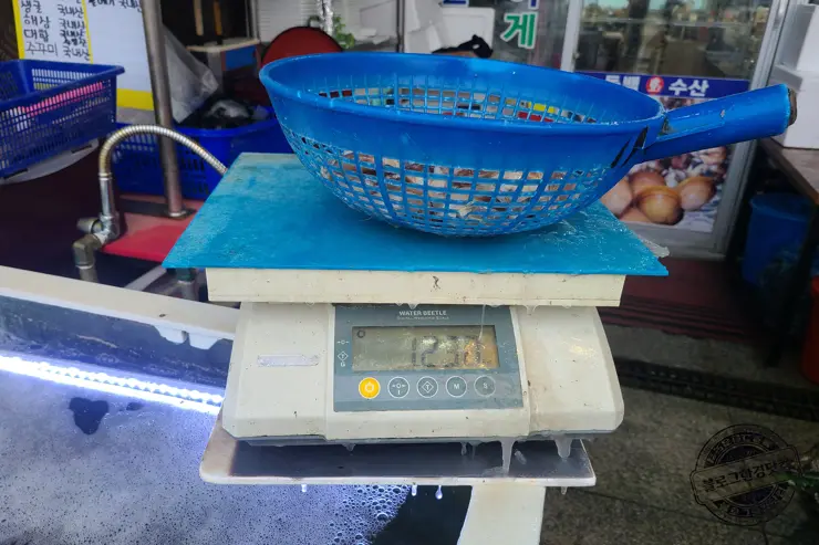 충남 홍성 남당항 새조개 겨울철 별미 제철음식 (ft. 동백회수산 )