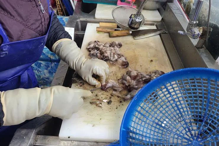 충남 홍성 남당항 새조개 겨울철 별미 제철음식 (ft. 동백회수산 )