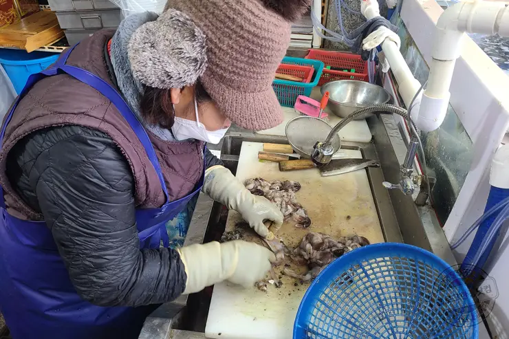 충남 홍성 남당항 새조개 겨울철 별미 제철음식 (ft. 동백회수산 )