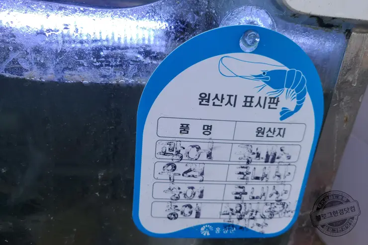 충남 홍성 남당항 새조개 겨울철 별미 제철음식 (ft. 동백회수산 )