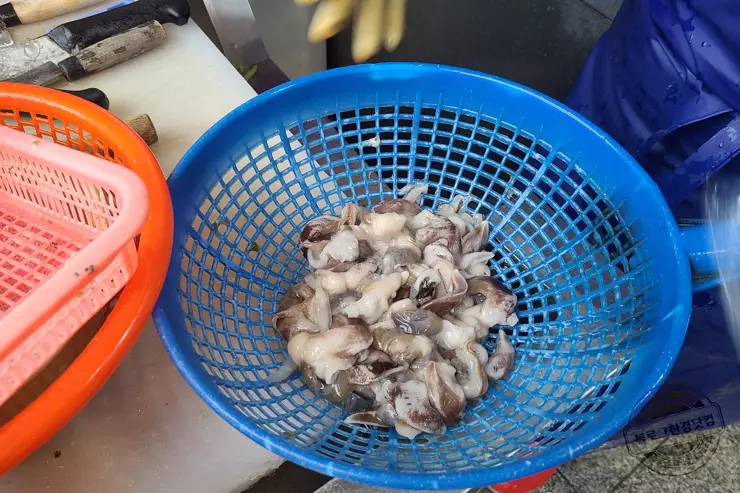 충남 홍성 남당항 새조개 겨울철 별미 제철음식 (ft. 동백회수산 )