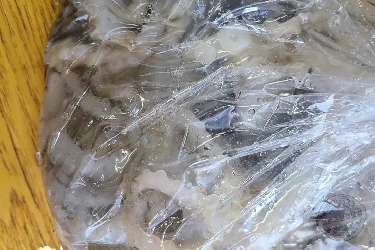 충남 홍성 남당항 새조개 겨울철 별미 제철음식 (ft. 동백회수산 )