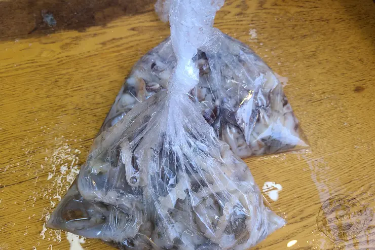 충남 홍성 남당항 새조개 겨울철 별미 제철음식 (ft. 동백회수산 )