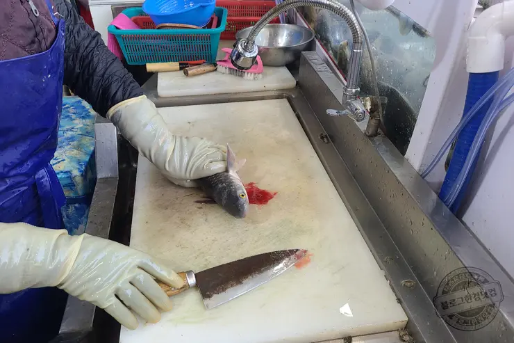 충남 홍성 남당항 새조개 겨울철 별미 제철음식 (ft. 동백회수산 )