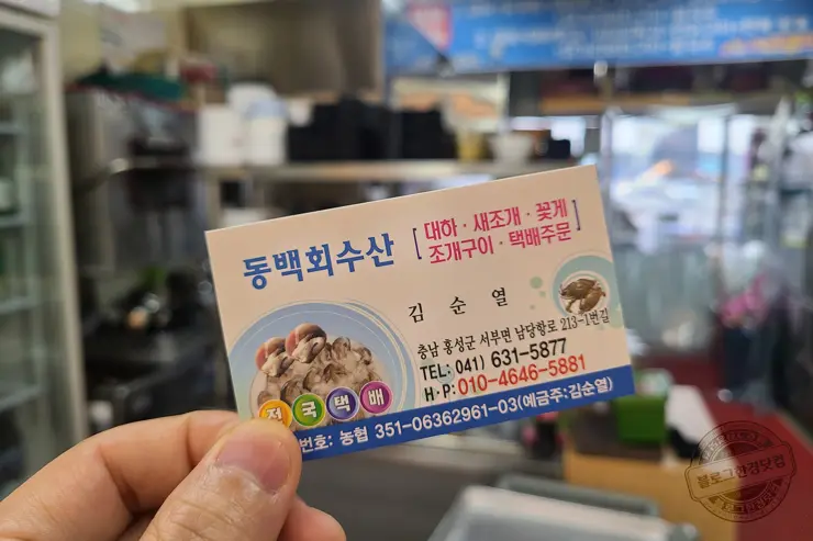 충남 홍성 남당항 새조개 겨울철 별미 제철음식 (ft. 동백회수산 )