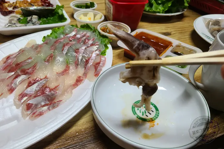 충남 홍성 남당항 새조개 겨울철 별미 제철음식 (ft. 동백회수산 )