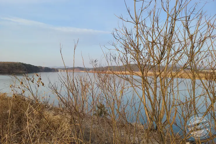 처음 해보는 법원 부동산 경매 처음부터 끝까지 후기