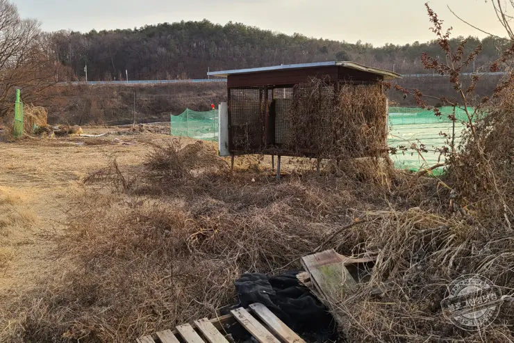 처음 해보는 법원 부동산 경매 처음부터 끝까지 후기