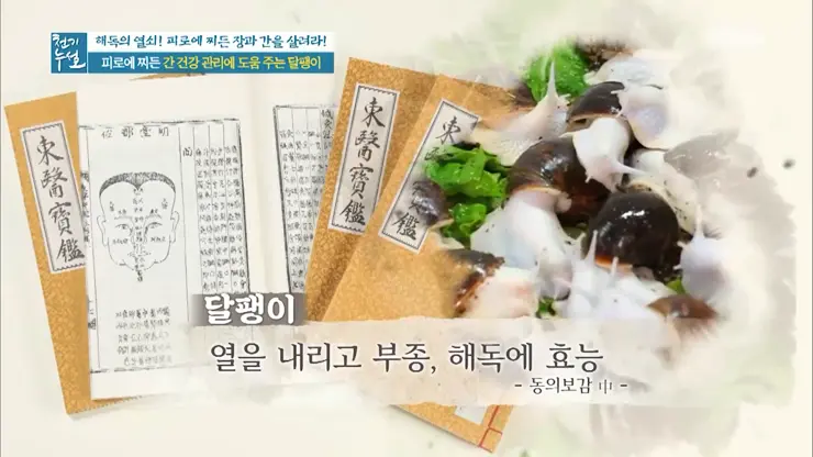 이츠스네일 와우장생 몸이 피곤할때 달팽이 엑기스 복용 일주일 그 후