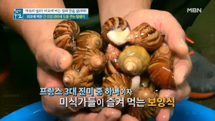 이츠스네일 와우장생 몸이 피곤할때 달팽이 엑기스 복용 일주일 그 후