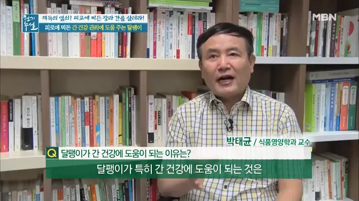 이츠스네일 와우장생 몸이 피곤할때 달팽이 엑기스 복용 일주일 그 후