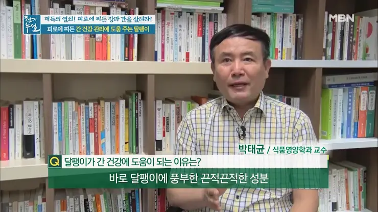 이츠스네일 와우장생 몸이 피곤할때 달팽이 엑기스 복용 일주일 그 후
