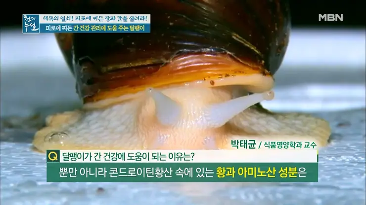 이츠스네일 와우장생 몸이 피곤할때 달팽이 엑기스 복용 일주일 그 후