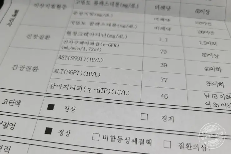 국민건강검진 간수치 ALT 기준 초과 초음파 간검사 지방간 판정