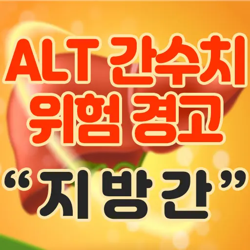 국민건강검진 간수치 ALT 기준 초과 초음파 간검사 지방간 판정