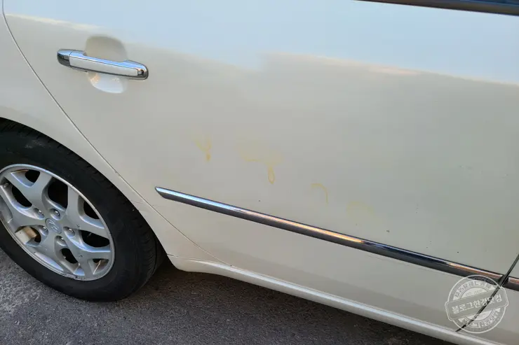 15년 된 NF쏘나타(2006년식) 중고차 해외 수출 판매후기