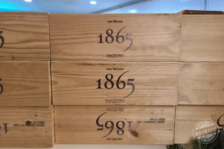 더보일러’s 미국식 바베큐 용산 BBQ 전문점 맛있는녀석들 320회 방영 “맛은 좋은데 서비스는 글쎄” 내돈내먹 후기