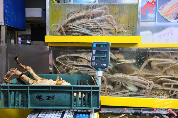 노르웨이 킹크랩 가락동 수산시장 잘 고르는 법 제철 시세 영수증 공개 내돈내산 후기