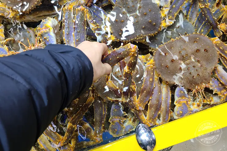 노르웨이 킹크랩 가락동 수산시장 잘 고르는 법 제철 시세 영수증 공개 내돈내산 후기