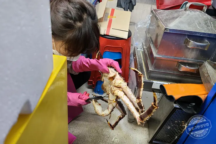 노르웨이 킹크랩 가락동 수산시장 잘 고르는 법 제철 시세 영수증 공개 내돈내산 후기