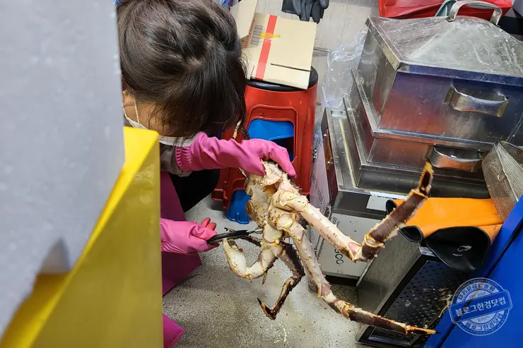 노르웨이 킹크랩 가락동 수산시장 잘 고르는 법 제철 시세 영수증 공개 내돈내산 후기