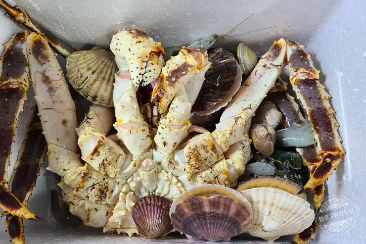 노르웨이 킹크랩 가락동 수산시장 잘 고르는 법 제철 시세 영수증 공개 내돈내산 후기