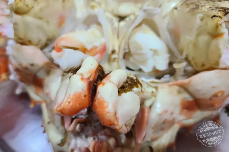 노르웨이 킹크랩 가락동 수산시장 잘 고르는 법 제철 시세 영수증 공개 내돈내산 후기