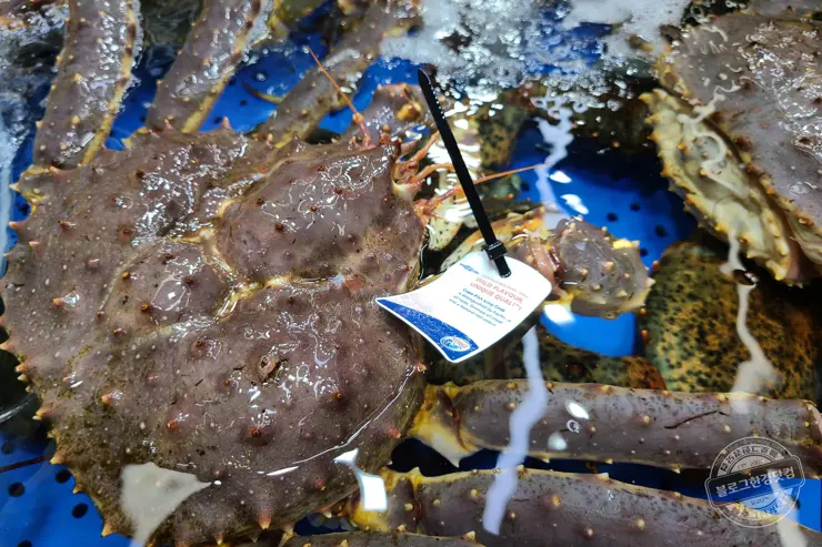 노르웨이 킹크랩 가락동 수산시장 잘 고르는 법 제철 시세 영수증 공개 내돈내산 후기