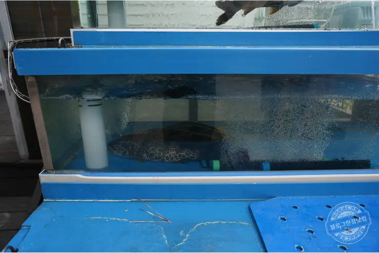 서강 매운탕 경기도 이천 쏘가리매운탕 어죽국수 이천 실크밸리cc 맛집 이천동원리더스맛집