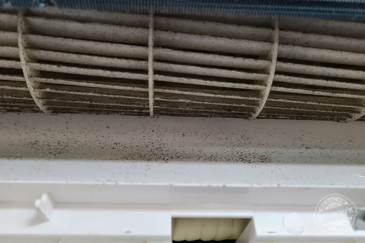 위니아 벽결이 에어컨 셀프 청소 블로워까지 곰팡이 제거  10만원 아낌