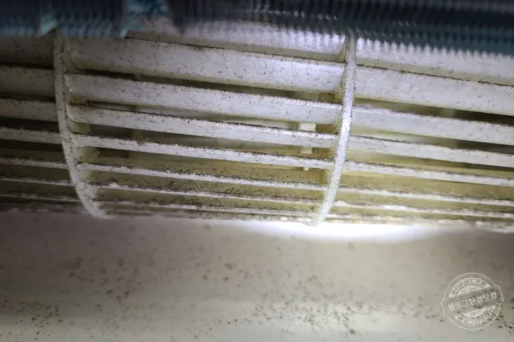 위니아 벽결이 에어컨 셀프 청소 블로워까지 곰팡이 제거  10만원 아낌