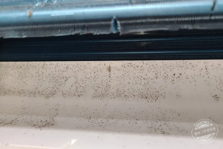 위니아 벽결이 에어컨 셀프 청소 블로워까지 곰팡이 제거  10만원 아낌