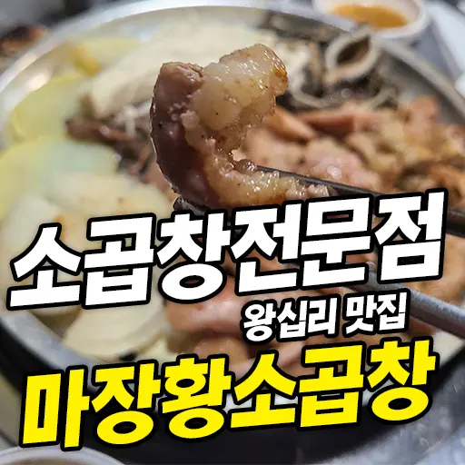 마장황소곱창 소곱창전문점 왕십리 맛집 내돈내먹