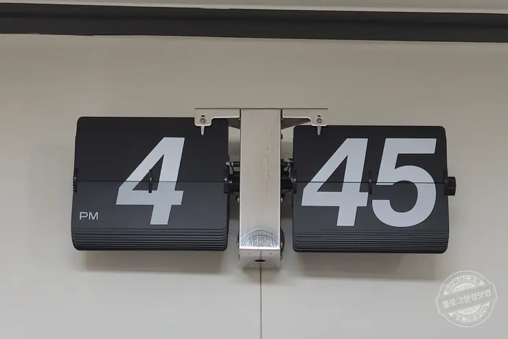 다이소 NEO 알카라인 D형 건전지 선택 이유 (ft.한국소비자원 건전지 품질비교) 내돈내산