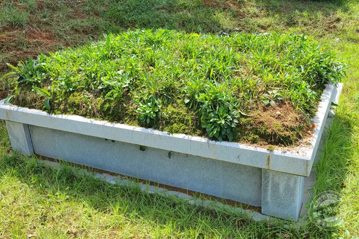 예초기 벌초할 때 힘 안들이는 꿀팁 강추 아이템 공개