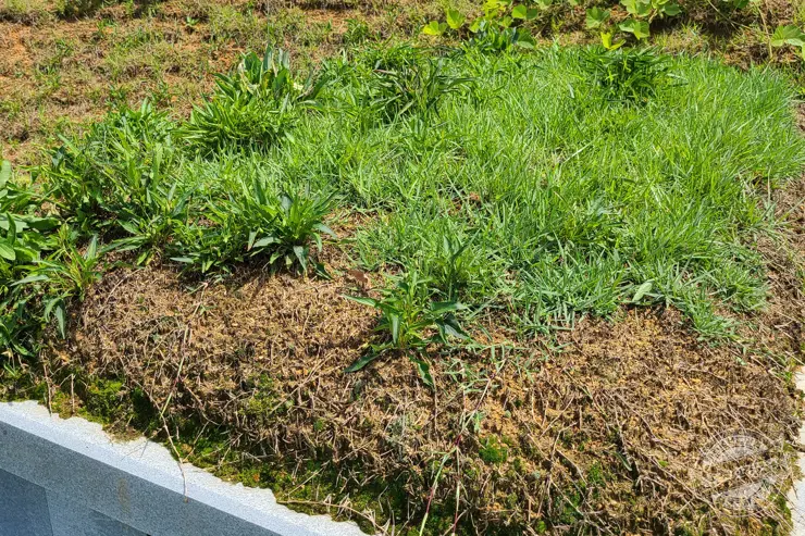 예초기 벌초할 때 힘 안들이는 꿀팁 강추 아이템 공개