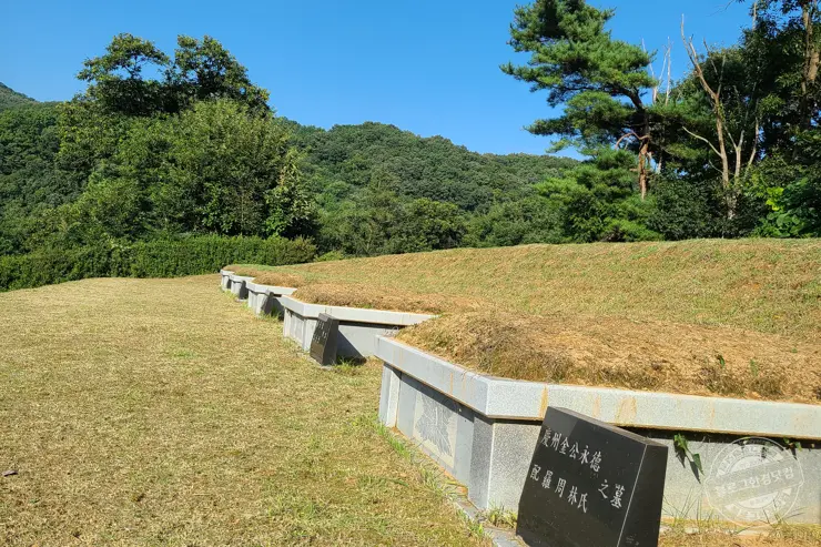 예초기 벌초할 때 힘 안들이는 꿀팁 강추 아이템 공개