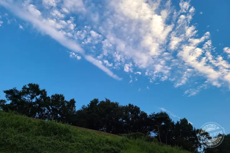 예초기 벌초할 때 힘 안들이는 꿀팁 강추 아이템 공개
