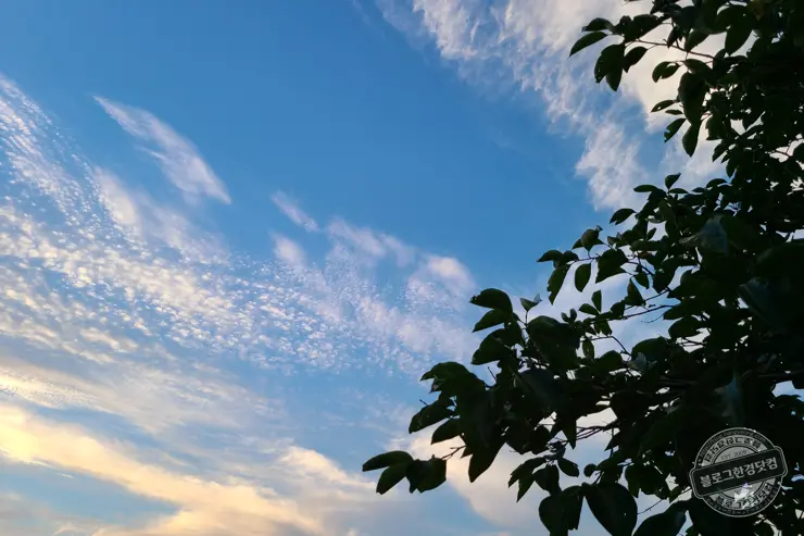 예초기 벌초할 때 힘 안들이는 꿀팁 강추 아이템 공개