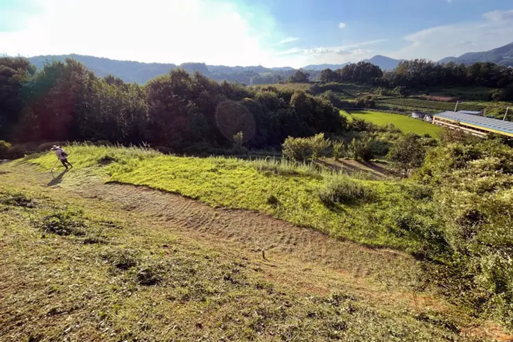 예초기 벌초할 때 힘 안들이는 꿀팁 강추 아이템 공개