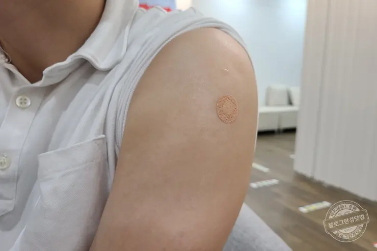 성인 B형 간염 예방접종 한국건강관리협회 건강증진의원 메디체크 서울강남지부 (영수증 첨부, 2021-22 독감예방주사 비용)